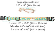 Pettsie Dog Collar & Bandana & Matching Friendship Bracelet, 3 adjustable sizes