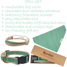 Pettsie Dog Collar & Bandana & Matching Friendship Bracelet, 3 adjustable sizes