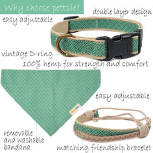 Pettsie Dog Collar & Bandana & Matching Friendship Bracelet, 3 adjustable sizes