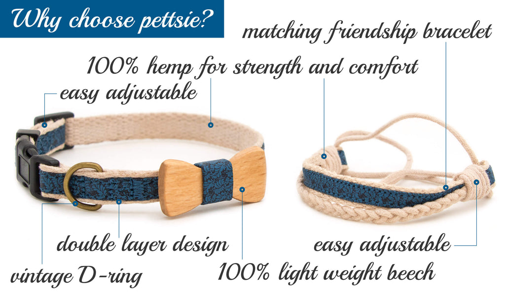 Natural blue dog collar with bow tie and friendship bracelet for