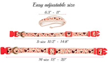 pettsie-natural-dog-collar-friendship-bracelet-2-adjustable-sizes