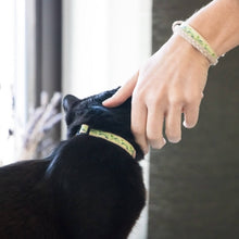 pettsie-green-cat-collar-matching-friendship-bracelet-felines