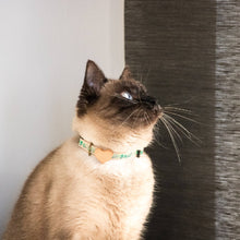pettsie-green-cat-collar-heart-matching-friendship-bracelet-cats