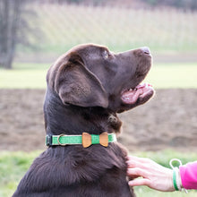 pettsie-green-dog-collar-hemp-bow-tie-friendship-bracelet-benefits--bruno