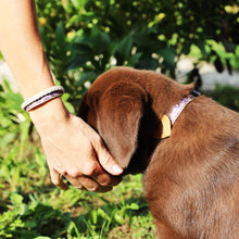 pettsie-dog-collar-heart-friendship-bracelet-easy-adjustable