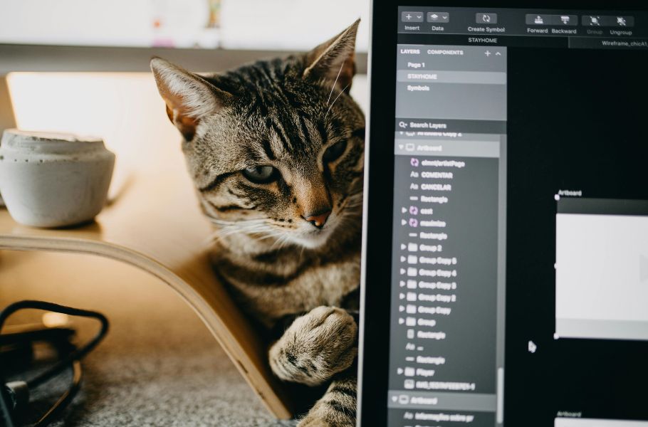 Cats in the Digital Age: Are Smartphones & Tablets Good for Felines?