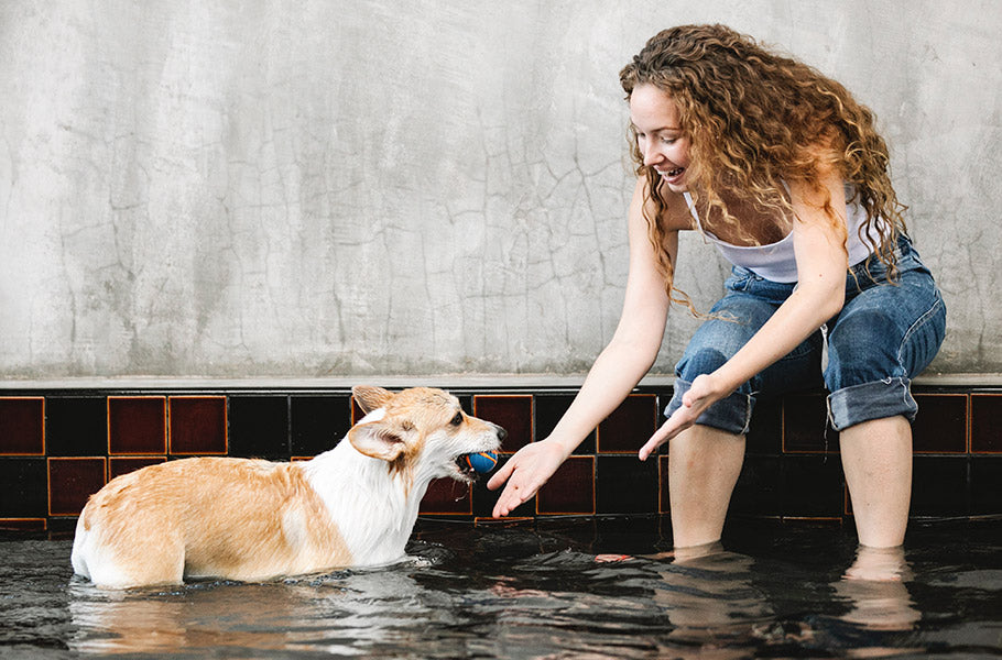 The Benefits of Canine Hydrotherapy: Keeping Your Dog Fit and Healthy