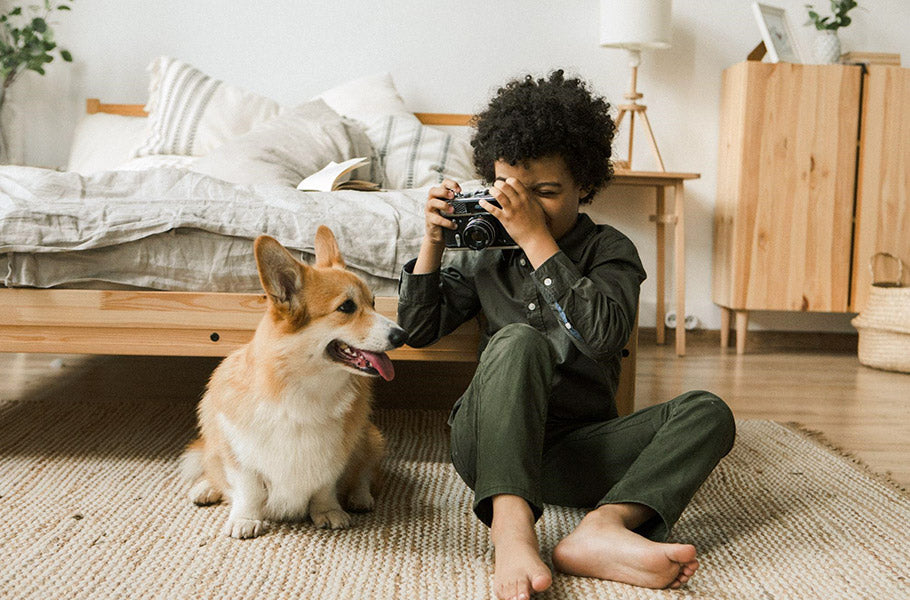 Tips and tools for taking Instagram-worthy photos of your dog