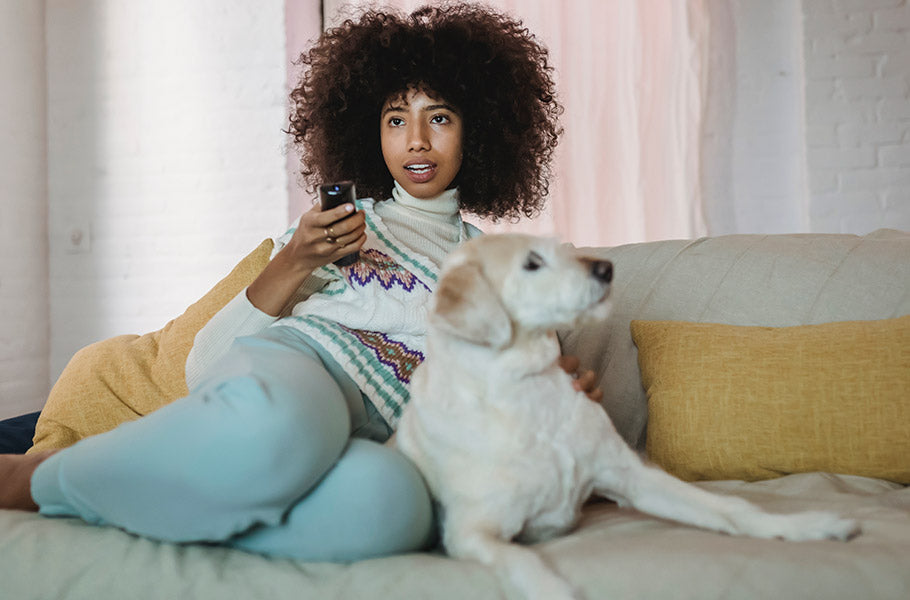Uncovering the Surprising Truth Behind Watching TV with Your Pet: Is It Harmful?