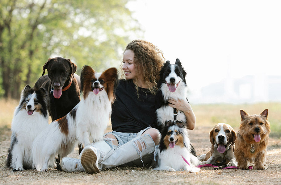 Understanding Breed-Specific Behaviors: Why Your Dog Acts the Way They Do
