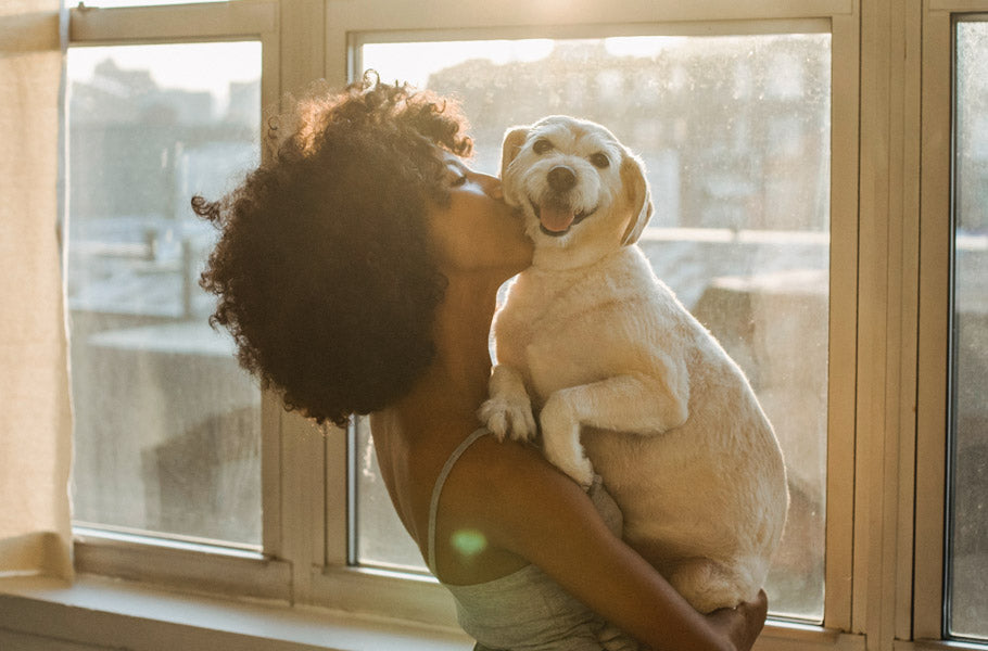 7 tips for leaving your dog in someone else's care