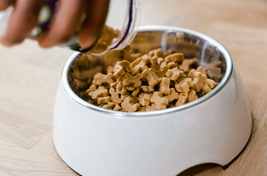 Avoid 6 mistakes when storing dog food