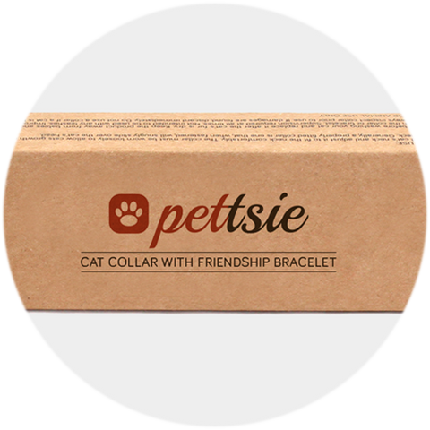Dog collar with bow tie & matching friendship bracelet, pet-friendly h –  Pettsie