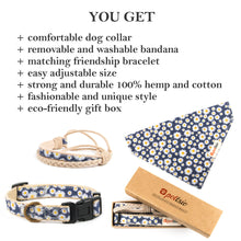 Pettsie Dog Collar & Bandana & Matching Friendship Bracelet, 4 adjustable sizes