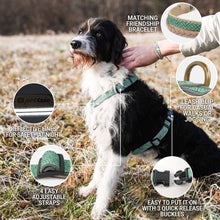 Pettsie No-Pull No-Choke Dog Harness Reflective & Matching Friendship Bracelet, 3 adjustable sizes