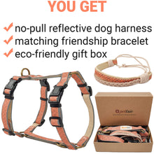 Pettsie No-Pull No-Choke Dog Harness Reflective & Matching Friendship Bracelet, 3 adjustable sizes