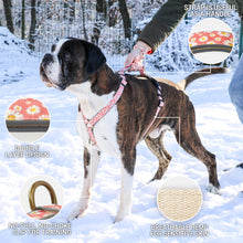 Pettsie No-Pull No-Choke Dog Harness Reflective & Matching Friendship Bracelet, 3 adjustable sizes