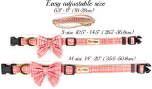 Dog collar with bow tie & matching friendship bracelet, pet-friendly hemp, strong D-ring