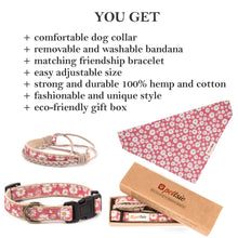 Pettsie Dog Collar & Bandana & Matching Friendship Bracelet, 3 adjustable sizes