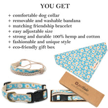 Pettsie Dog Collar & Bandana & Matching Friendship Bracelet, 2 adjustable sizes