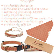 Pettsie Dog Collar & Bandana & Matching Friendship Bracelet, 3 adjustable sizes