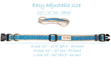 Pettsie Heart Dog Collar & Bandana & Matching Friendship Bracelet, 3 adjustable sizes