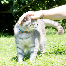 pettsie-blue-cat-collar-wood-bow-tie-matching-friendship-bracelet-cotton-nature