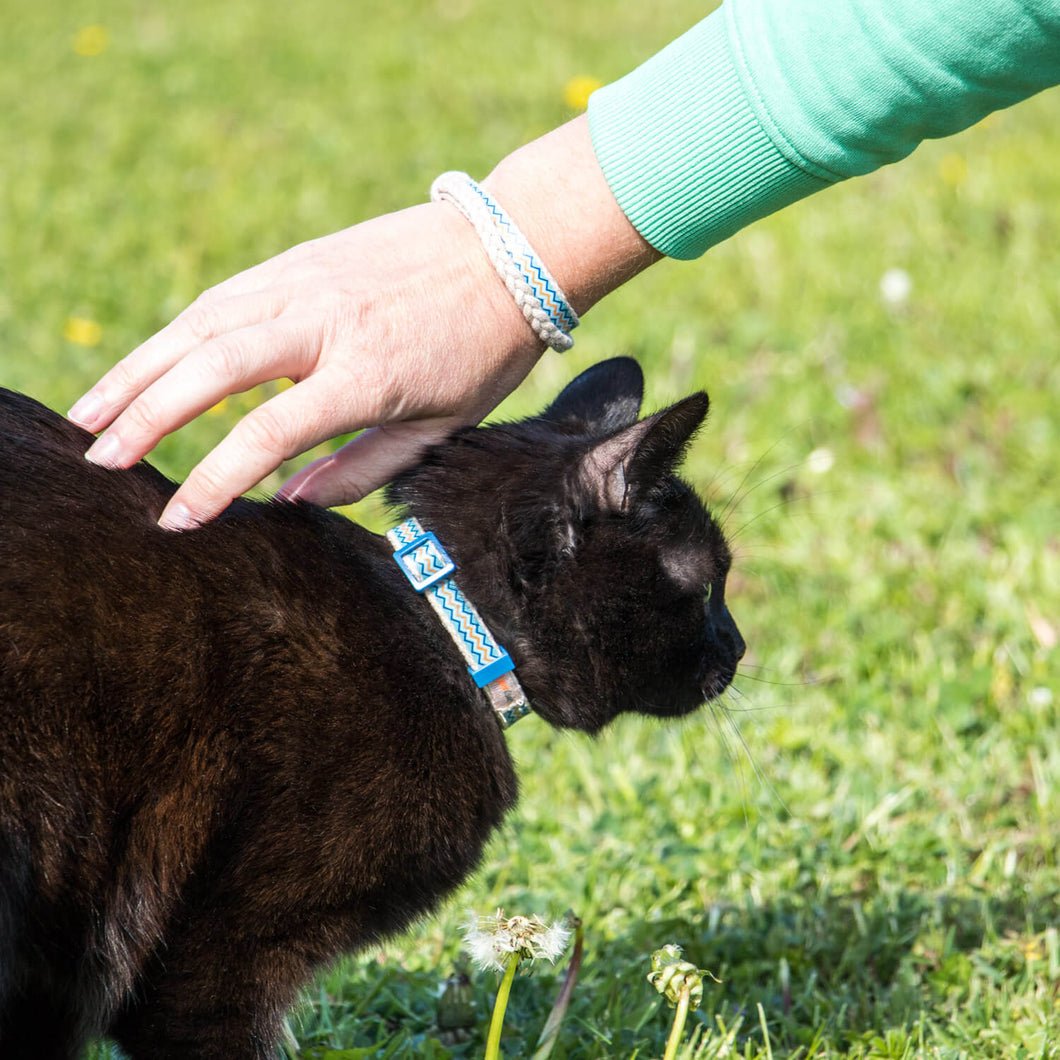 Best friend sale cat collar