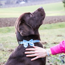 pettsie-hemp-dog-collar-cotton-bow-tie-removable-washable-matching-friendship-bracelet-benefits-calming-bruno-2