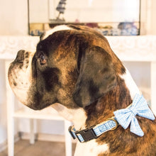 pettsie-hemp-dog-collar-cotton-bow-tie-removable-washable-matching-friendship-bracelet-gift-ready