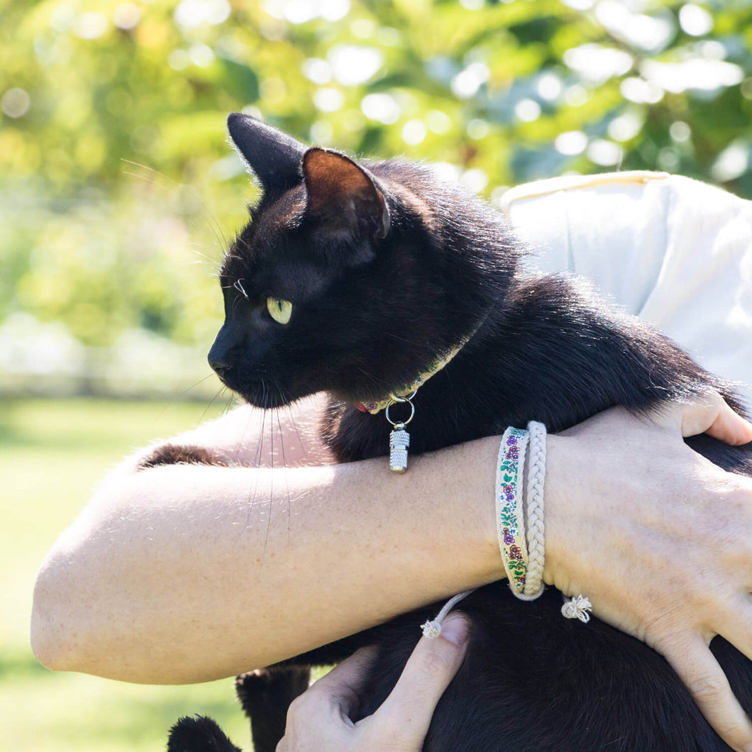 Blue kitten collar with breakaway buckle and friendship bracelet