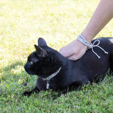 pettsie-breakaway-cat-collar-friendship-bracelet-id-tag-tube-calming-cotton-chic