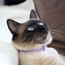 pettsie-purple-cat-collar-breakaway-buckle-matching-friendship-bracelet-calming-cotton-fancy-chic-kitten-lili