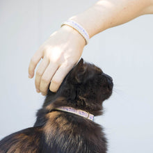 pettsie-purple-cat-collar-breakaway-buckle-matching-friendship-bracelet-calming-cotton-fancy-chic-kitty-bucko