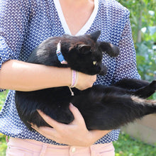 pettsie-purple-cat-collar-breakaway-buckle-matching-friendship-bracelet-calming-cotton-fancy-chic