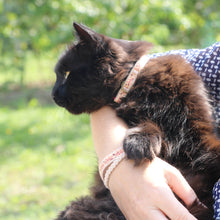 pettsie-cat-collar-breakaway-safe-friendship-bracelet-easy-adjustable