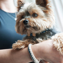 pettsie-blue-dog-collar-bowtie-friendship-bracelet-hemp