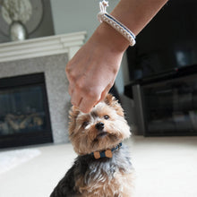 pettsie-blue-dog-collar-bow-tie-friendship-bracelet-natural-hemp