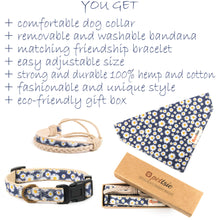 pettsie-hemp-dog-collar-bandana-matching-friendship-bracelet-gift-box-benefits