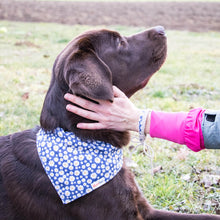 pettsie-hemp-dog-collar-bandana-matching-friendship-bracelet-gift-box-features-bruno