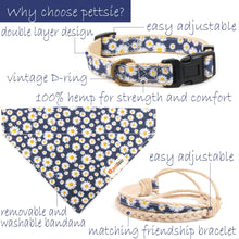 pettsie-hemp-dog-collar-bandana-matching-friendship-bracelet-gift-box-features