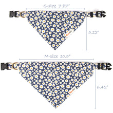 pettsie-hemp-dog-collar-bandana-matching-friendship-bracelet-gift-box-sizes