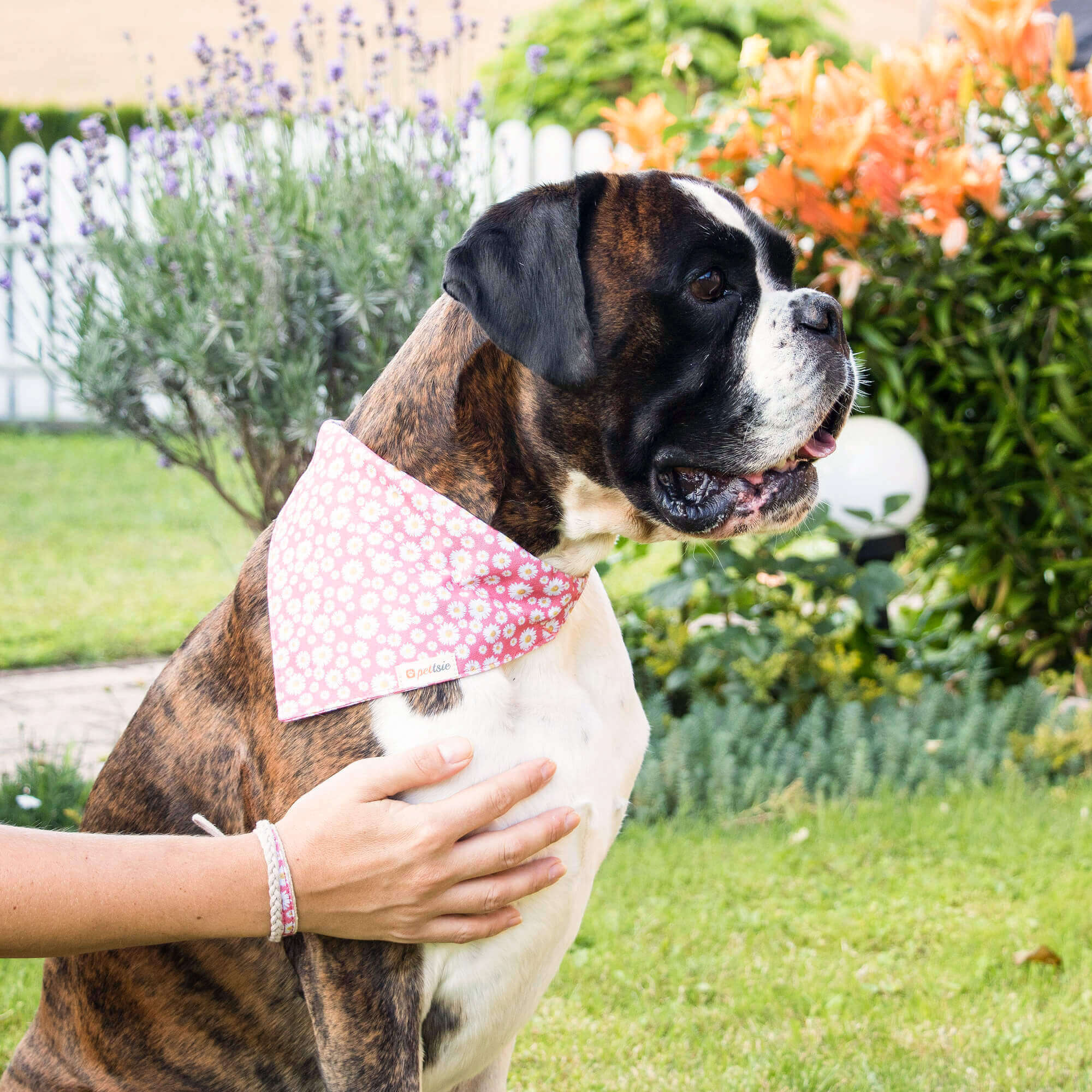 Crocx Hemp Dog Collar Pettse Dog Collar Heart, Matchng Frendshp