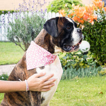 Pettsie Dog Collar & Bandana & Matching Friendship Bracelet, 3 adjustable sizes