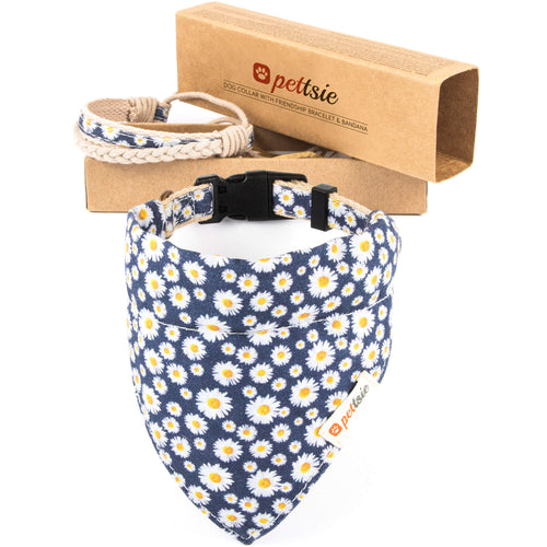 pettsie-hemp-dog-collar-bandana-matching-friendship-bracelet-gift-box