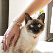 pettsie-natural-cat-collar-unique-design-modern-cat-friendship-bracelet-lili