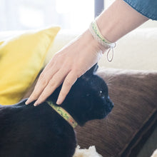 pettsie-green-kitten-collar-safety-breakaway-buckle-friendship-bracelet-easy-adjustable-edi2