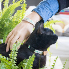 pettsie-green-cat-collar-heart-matching-friendship-bracelet-kitty