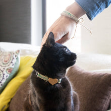 pettsie-green-cat-collar-heart-matching-friendship-bracelet-feline