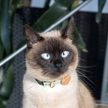 pettsie-green-cat-collar-heart-matching-friendship-bracelet-feline